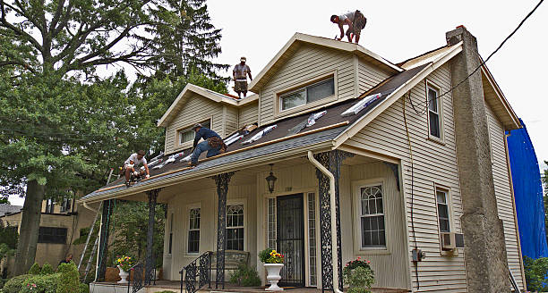 Best Storm Damage Roof Repair  in Bourbon, MO